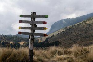 pexels photo 35848034